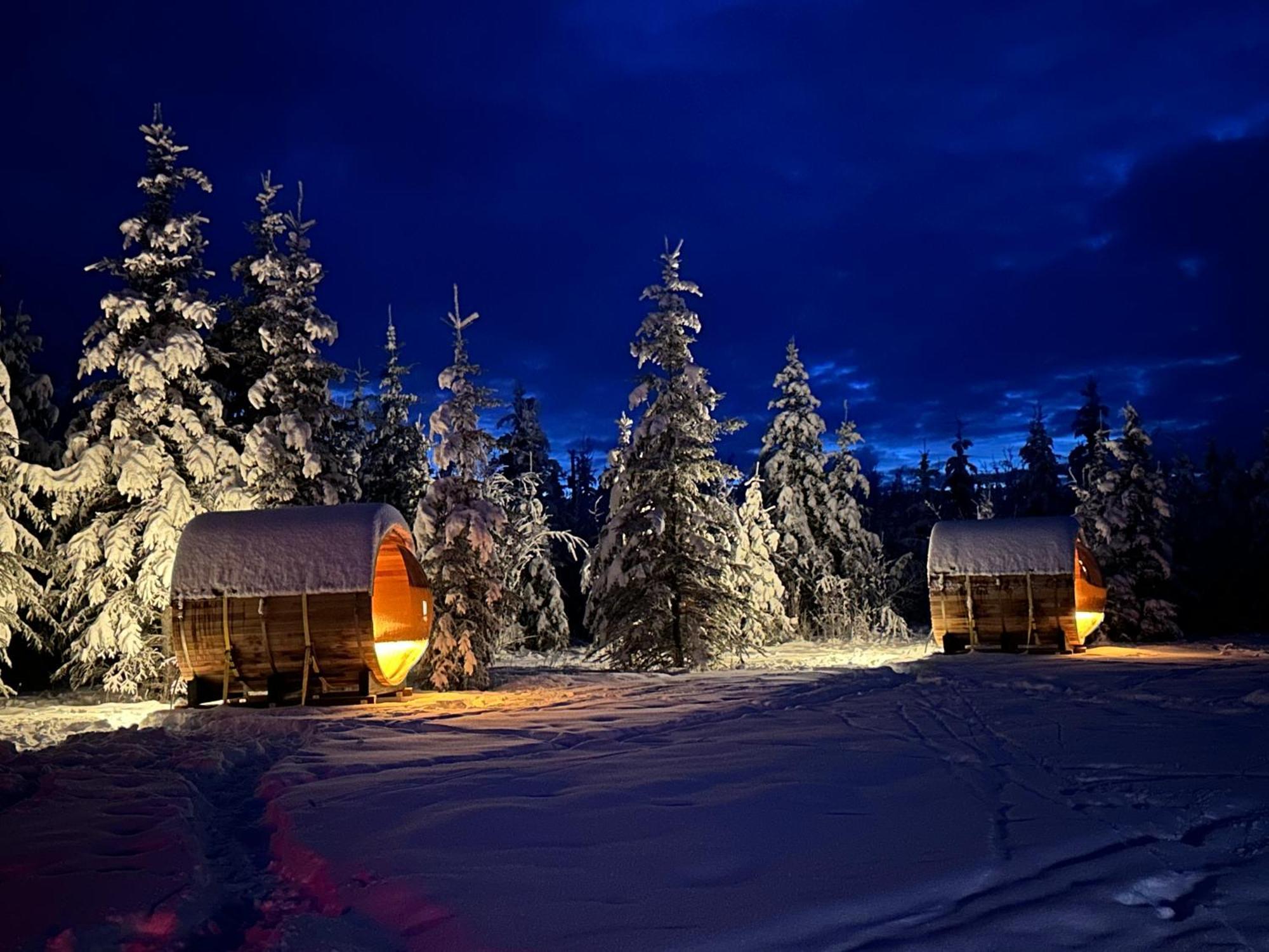 The Adamina Apartment Fairbanks Exterior photo
